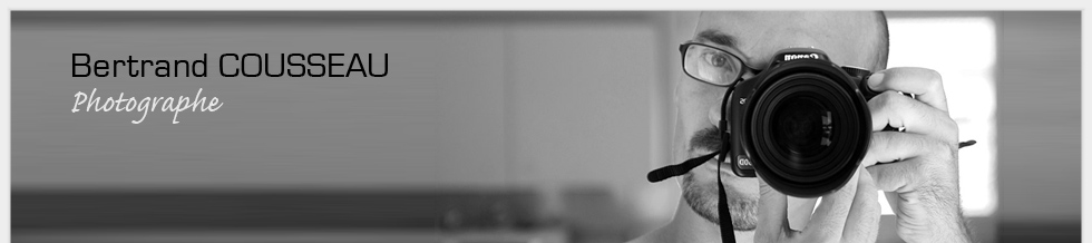 Retour à l'accueil du blog